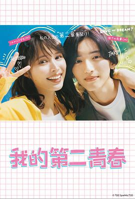 盘锦网站优化厂商名单