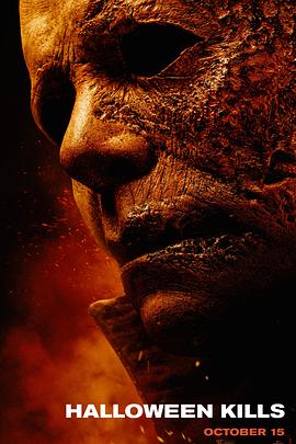 龙城综合网站优化公司